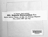 Sphaerulina oxyacanthae image